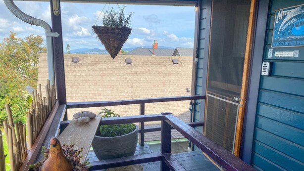 A balcony with a hanging plant, a potted plant, and a terracotta pot. - Victorian on Garden: Best Location in Town (Bellingham)