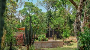 A garden with various plants, a wooden pergola, and a brick wall.
