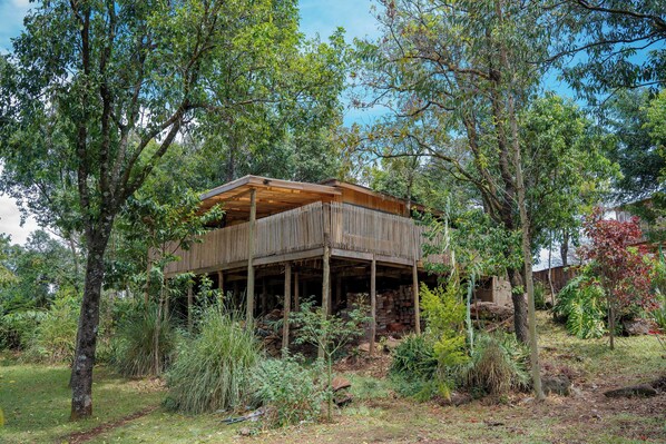 A wooden cabin with a covered porch, surrounded by trees and vegetation. - Tree House cabin nestled in Turbo ,Eldoret perfect for a cozy getaway (Eldoret)