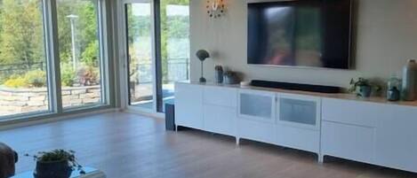 Smart TV, fireplace, video games, books