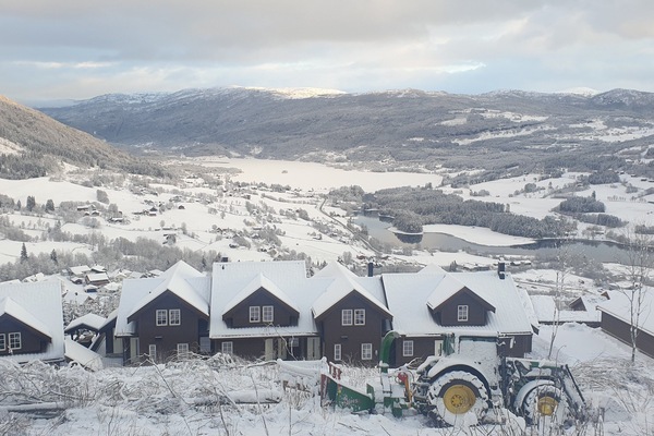 Local view