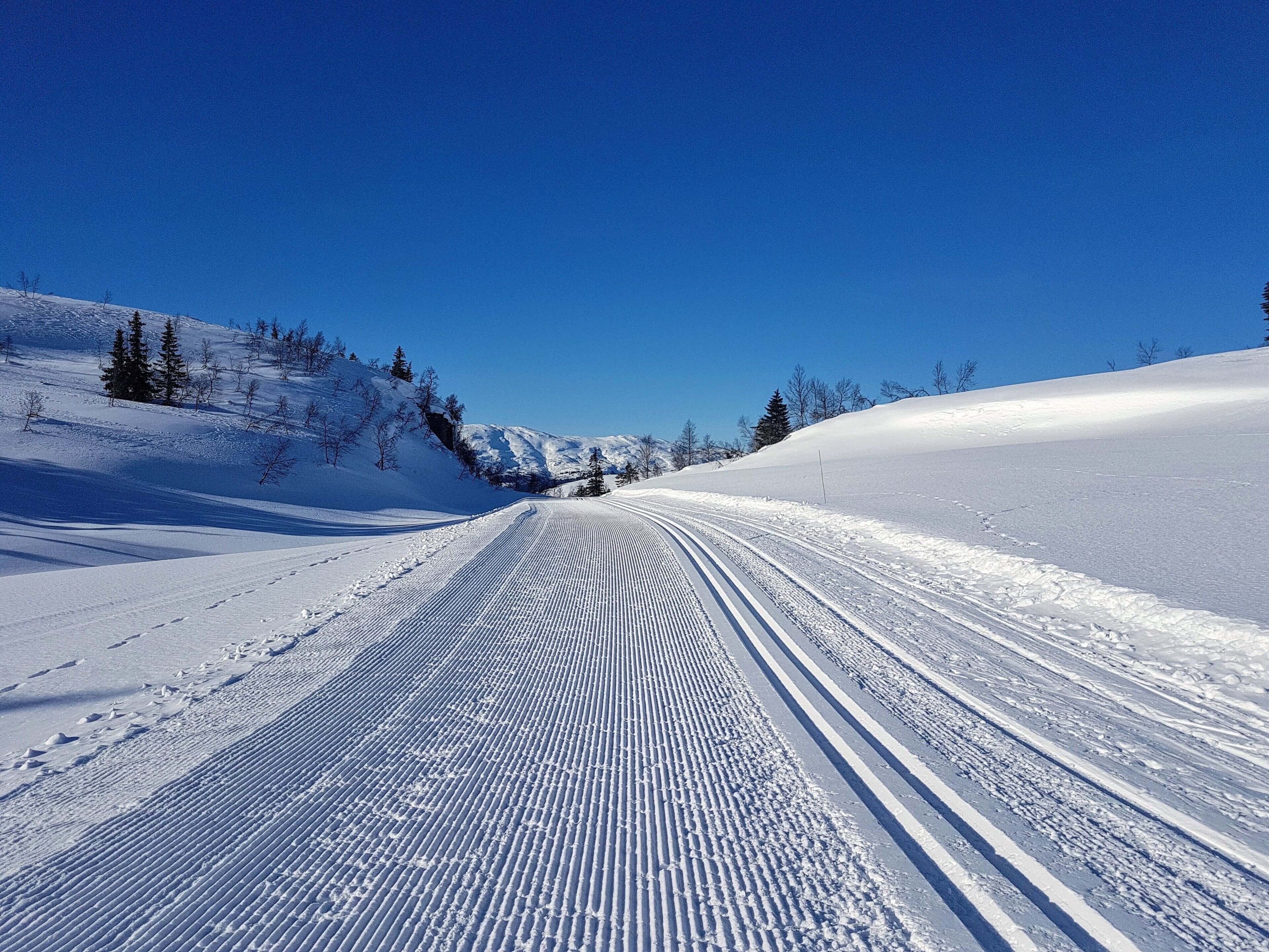 A snowy ski trail with trees and mountains in the background.