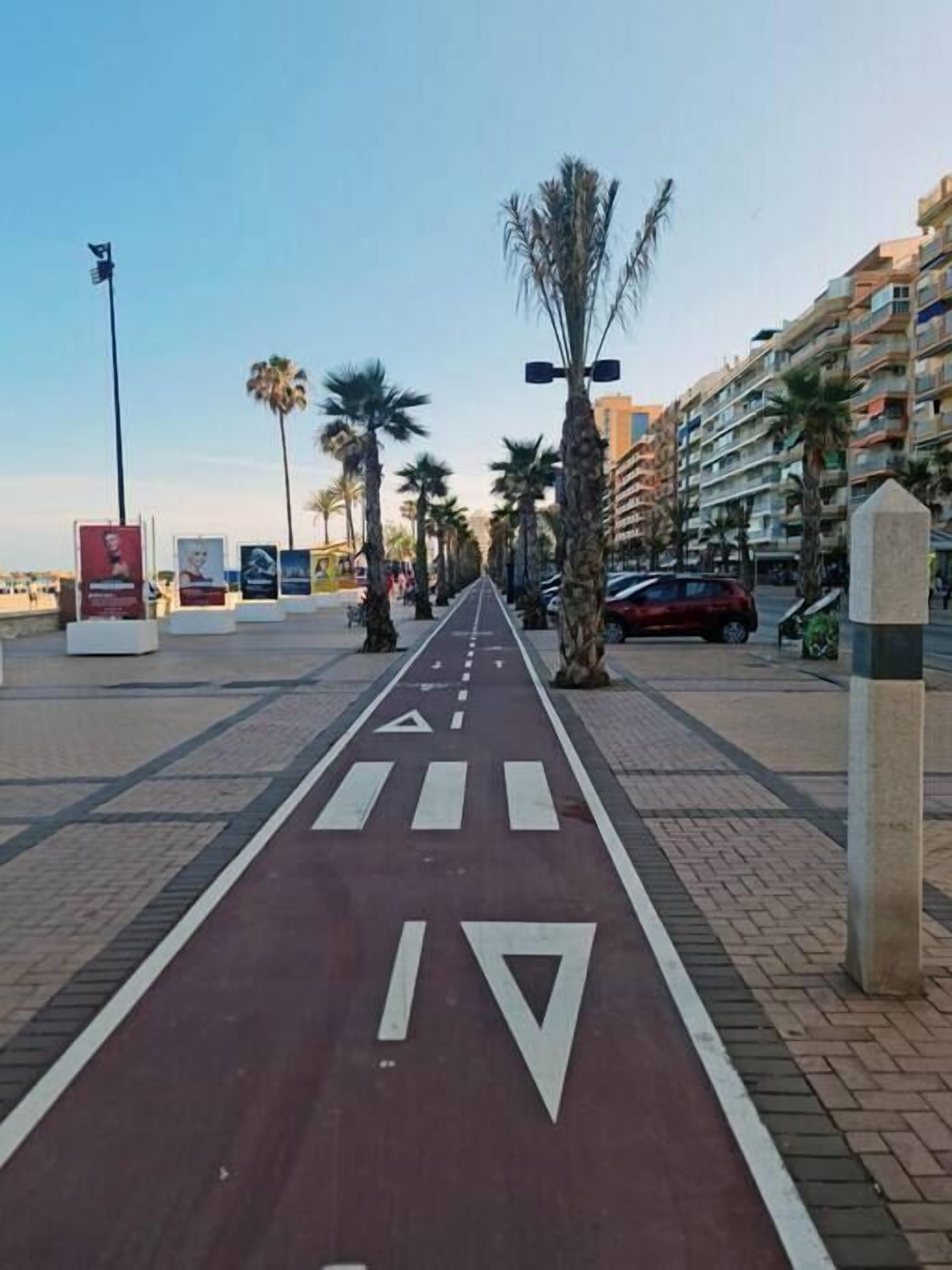 A paved pathway with directional arrows, palm trees, and a row of multi-story buildings.