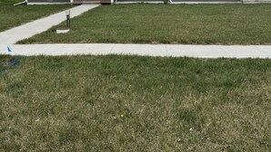 A single-story house with a front porch, a driveway, and a well-maintained lawn. - Cozy West Duplex (Seymour)
