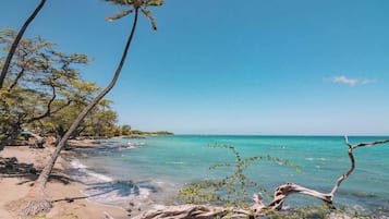 A beach with clear turquoise water, palm trees, and driftwood.