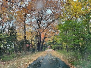 Unclassified image, 3 of 7, button - Cosy lakeside cottage retreat w/king bed, minutes from airport or downtown. (Windsor Jct)