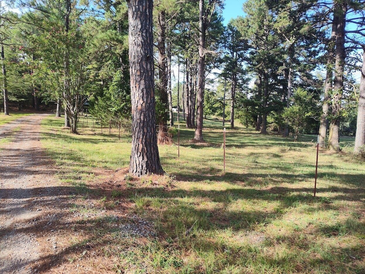 Zona boscosa con un sendero de tierra, árboles y una valla.