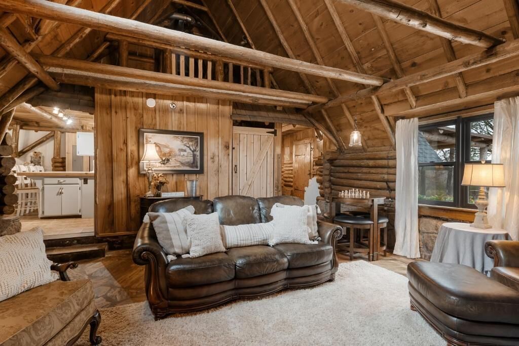 Cabin, 1 King Bed, Patio, Hill View | Living area