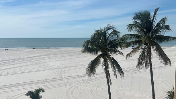 Una spiaggia con palme, cielo sereno e vista sull'oceano in lontananza.