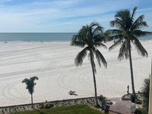 Uma praia com palmeiras, céu claro e vista distante do oceano.