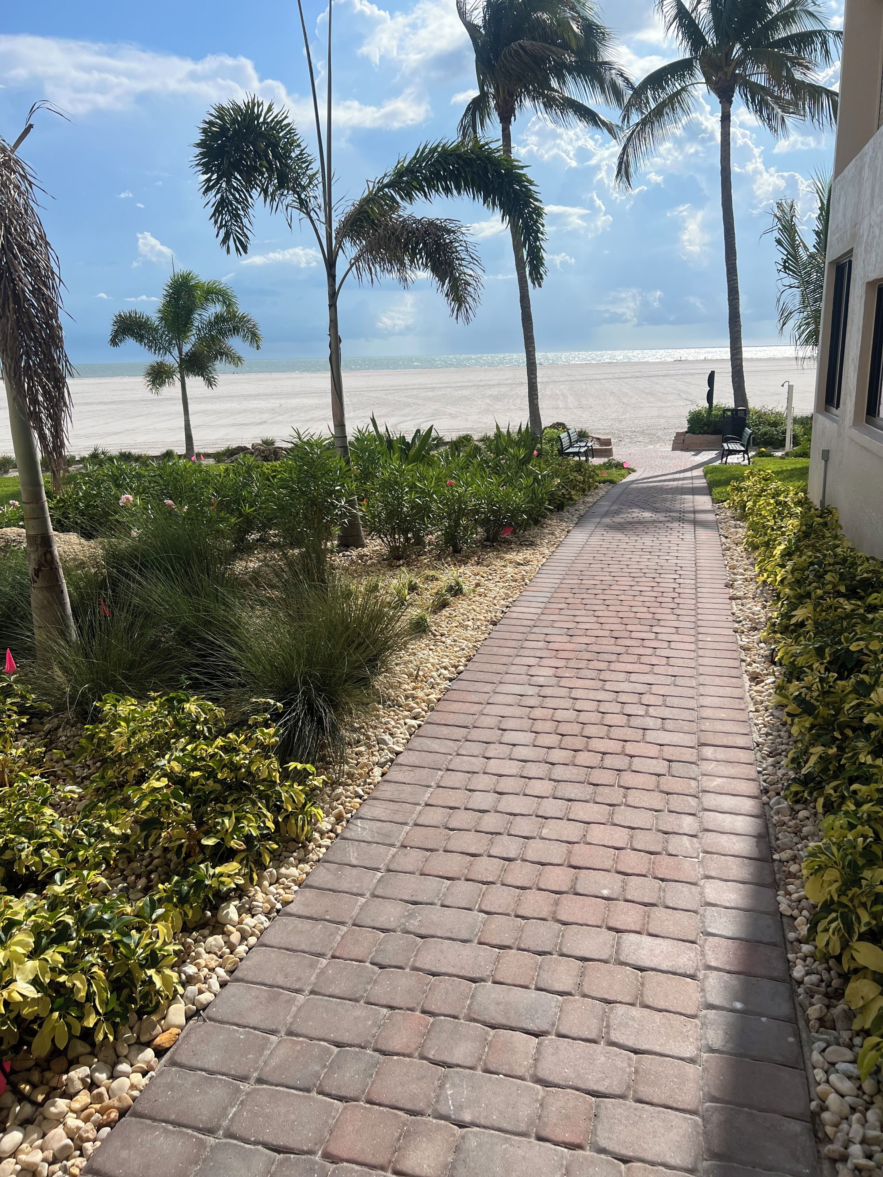 A paved pathway leading to a beach with palm trees and a clear sky.