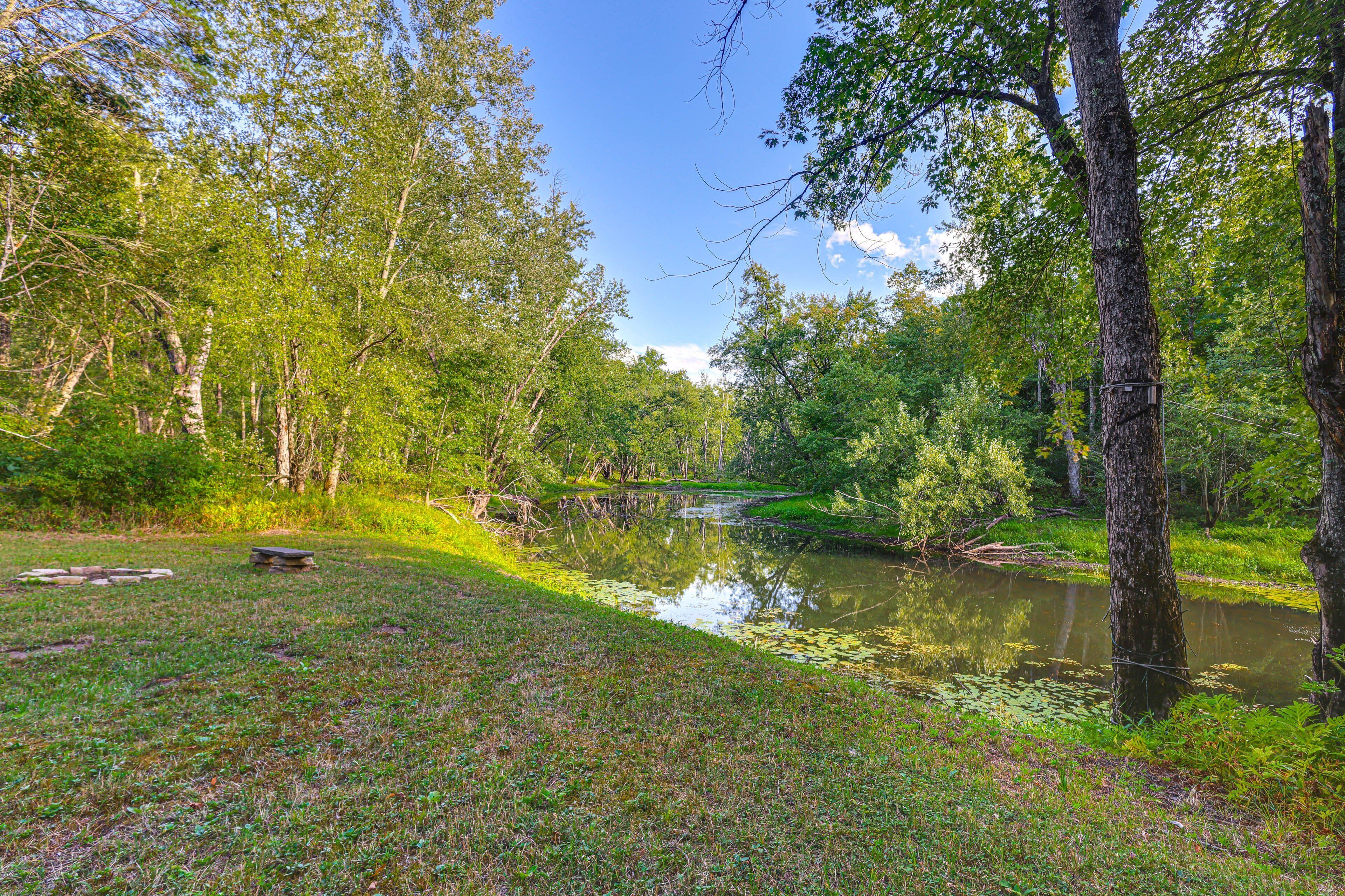 A natural landscape with a pond, trees, and a grassy area.