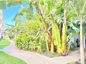 Property grounds - Resort-Style Condo- Pool, Patio, Playground + Palapa Lounge (Aldea Hortus)