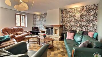 TV, fireplace, books