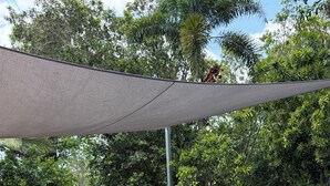 Ein Swimmingpool mit Fliesen umgeben von üppiger Vegetation und einem schattigen Bereich.