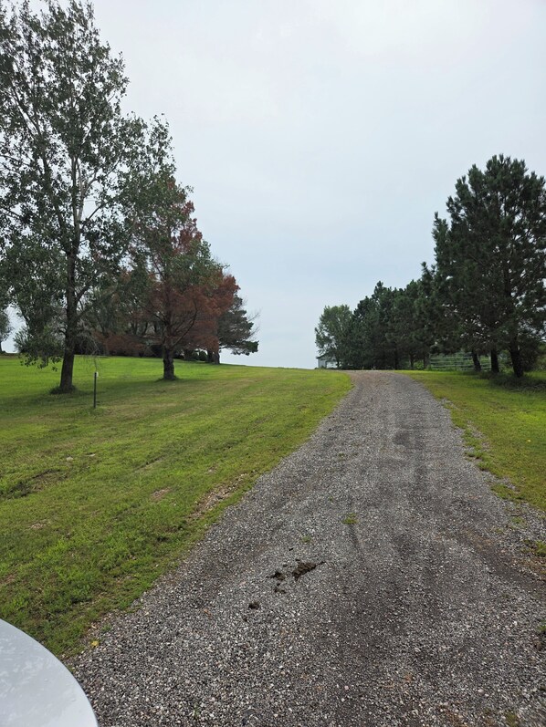 A gravel path leading through a park with trees and a body of water in the distance.