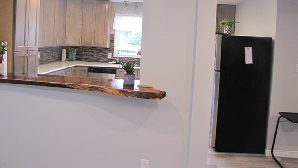 Una cocina con armarios de madera, un refrigerador negro y una encimera con una planta.