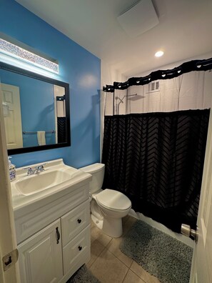 A bathroom with a white sink, a toilet, a mirror, and a shower curtain. - Rockville Private Oasis (Rockville)