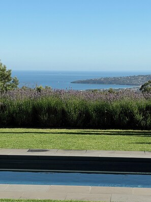 Outdoor pool, a heated pool - Frogs Pond Vineyard romantic getaway on the Mornnington Peninsula. (Red Hill)