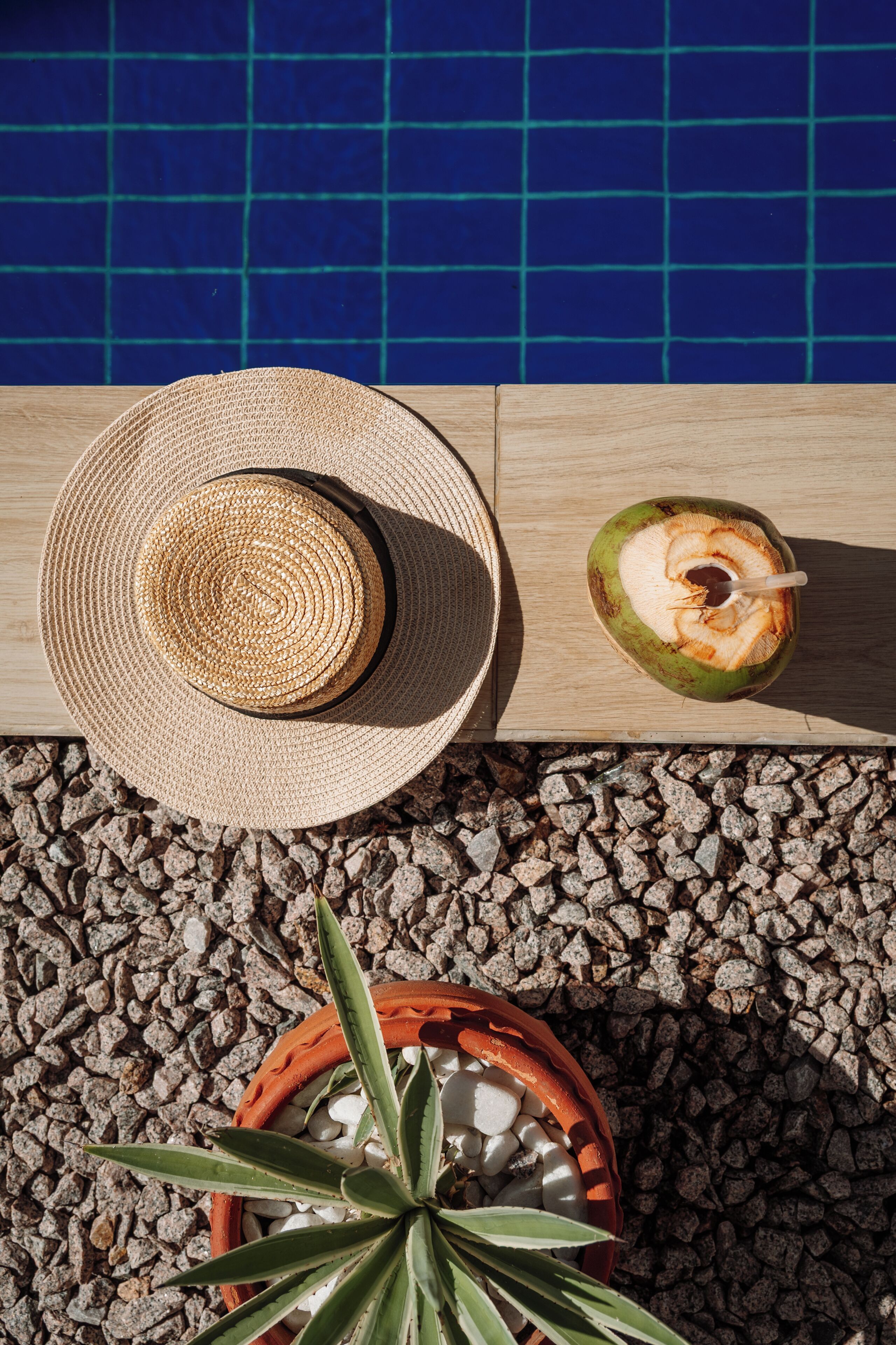Una mesa de madera con un sombrero de paja, un coco con un popote y una planta en maceta.