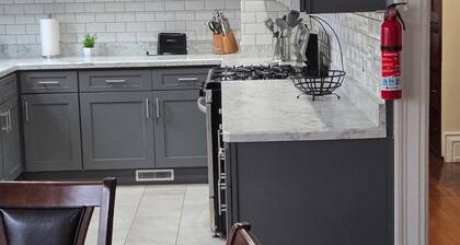Stunning Elmwood Village Lower