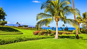 A lush, green landscape with palm trees and a clear blue sky. - Sunlit 2BR Island Haven Plantation Style (Lahaina)
