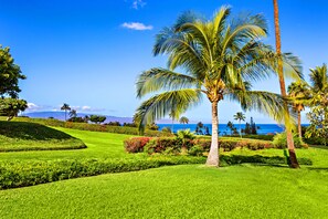 Property grounds - Sunlit 2BR Island Haven Plantation Style (Lahaina)