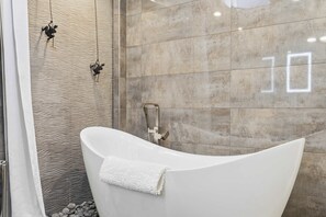 Douche, séchoir à cheveux, serviettes fournies, shampooing