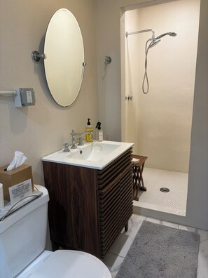 Shower, hair dryer, towels, soap - Lovely 2-bedroom apartment with private pool in peaceful Bay Saint Louis (Bay St Louis)