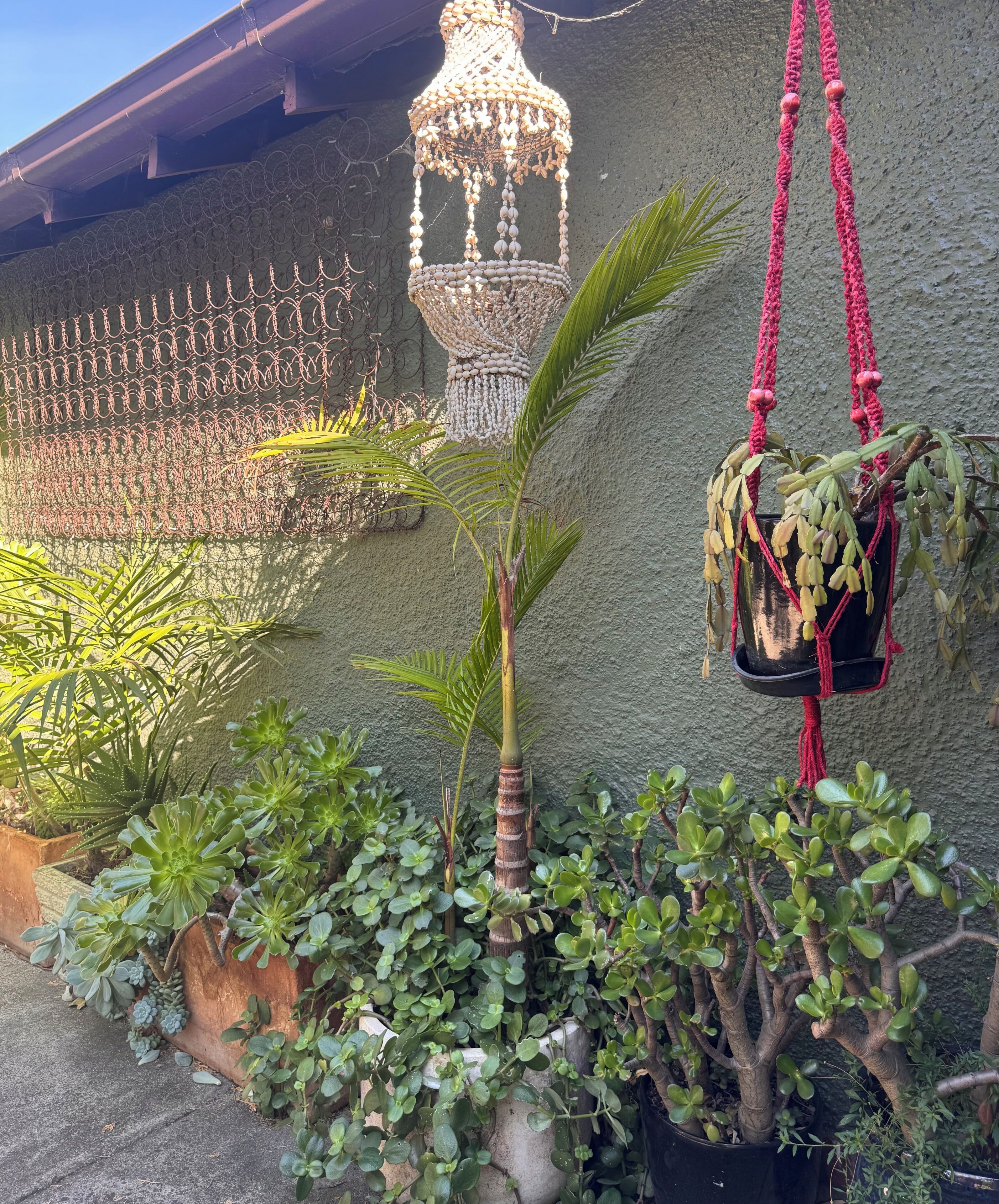 A garden with various plants, a hanging decorative light, and a macrame plant holder.