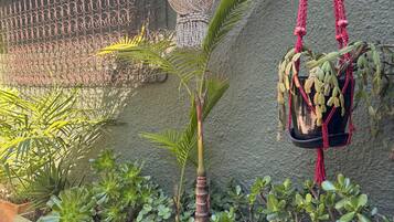 A garden with various plants, a hanging decorative light, and a macrame plant holder.