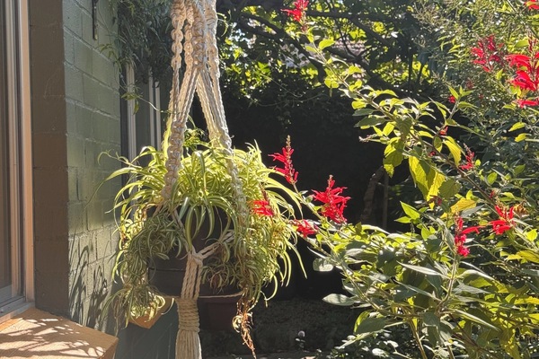 Handmade macrame by your host is throughout the property.