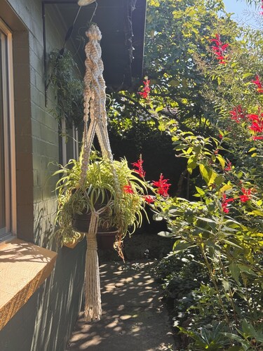 Retro bungalow in organic garden oasis