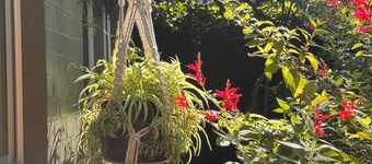 Retro bungalow in organic garden oasis