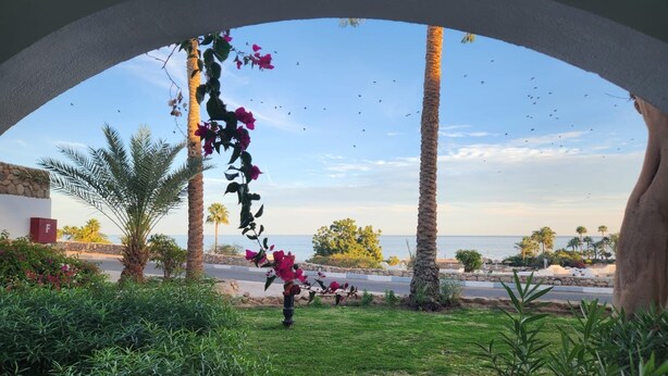 A view through an arched window of a coastal area with palm trees, bougainvillea, and a road leading to the beach. - MDS Coral Bay Pearl | Sea View | Resort (South Sinai Governorate)