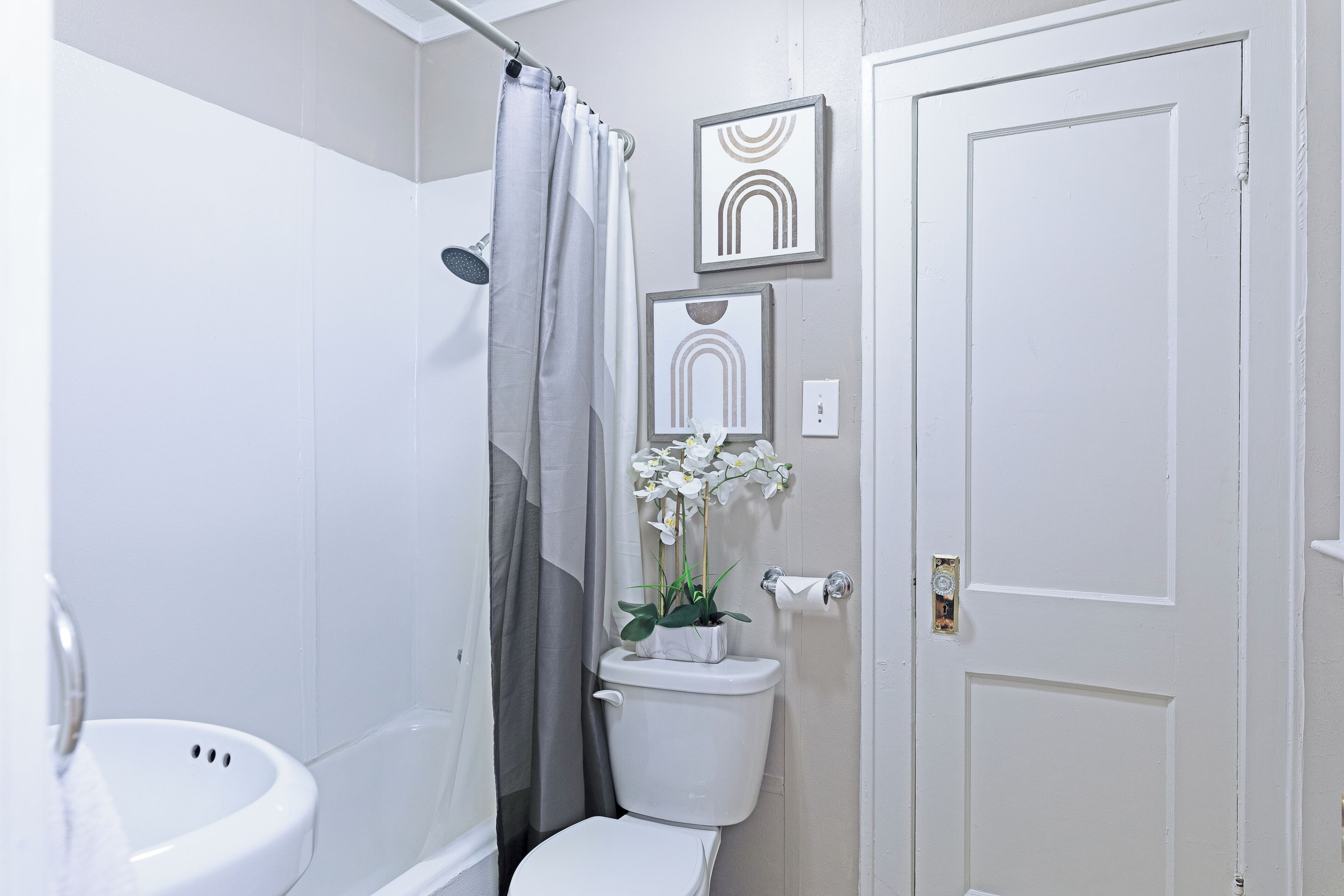 A bathroom with a toilet, shower curtain, and framed artwork on the wall.