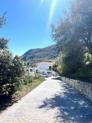 Property grounds - Stunning contemporary Villa set amongst olive trees. Beautiful scenery (Corfu)