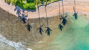 An aerial view of a beach with clear water, palm trees, and a rocky shoreline. - SUMMER SALE! Remodeled Oceanfront 1BR Steps to Pool & Ocean - Kahana Reef 107 (Lahaina)