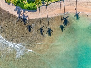 An aerial view of a beach with clear water, palm trees, and a rocky shoreline. - SUMMER SALE! Remodeled Oceanfront 1BR Steps to Pool & Ocean - Kahana Reef 107 (Lahaina)