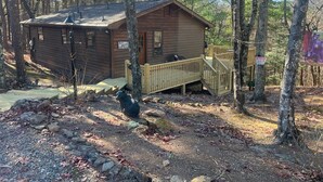 A wooden cabin with a porch, surrounded by trees.