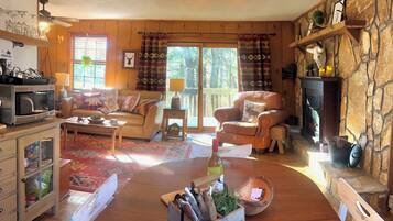 Smart TV, fireplace, books
