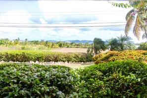 A landscaped garden with various plants and trees, a clear sky, and distant mountains. - Nice 2-bedroom house with AC in delightful Saint Johns (Saint Johns)