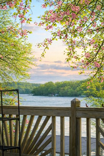 Welcoming cottage with lake access+views on Lake of the Ozarks main channel
