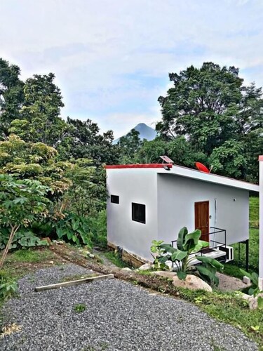 The Chicken House