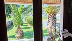 A room with a large window, a wooden ceiling, and a potted orchid on the windowsill.