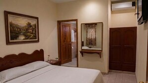 Un dormitorio con una cama, un cuadro, una puerta, un espejo y un equipo de aire acondicionado.