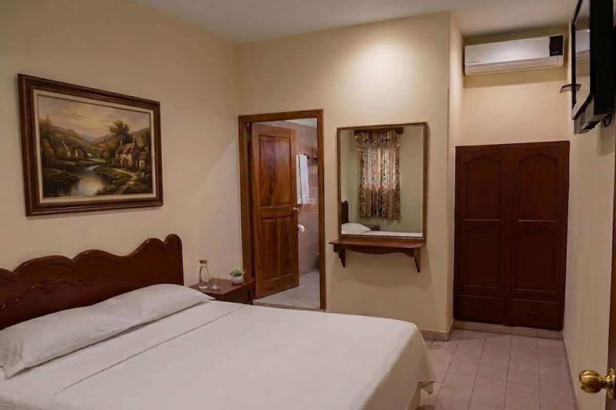 A bedroom with a bed, a painting, a door, a mirror, and an air conditioning unit.