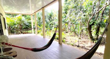 La Casa de los Abuelos, a little corner of the jungle in San Benito Petén.