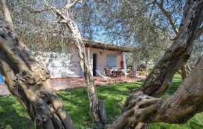 Terrace/patio - Stunning home in Pescia Romana with WiFi (Pescia Romana)