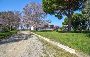 Property grounds - Lovely home in Pescia Romana with WiFi (Pescia Romana)